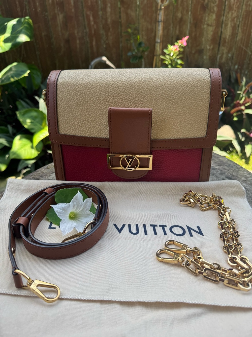 Louis Vuitton Dauphin Multicolor Crossbody Bag